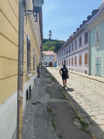 Zlatica Petrovaradin Exterior photo